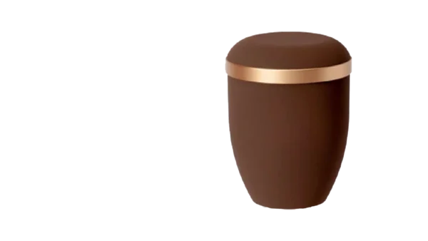 Urna Biodegradabile - immagine 2