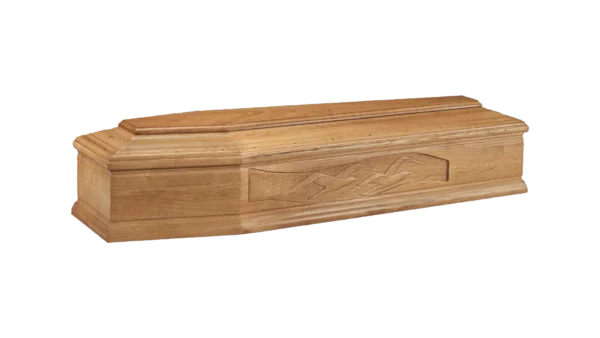 mod. 22 Gabbiani