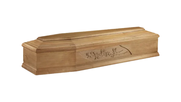 mod. 22 Rosa