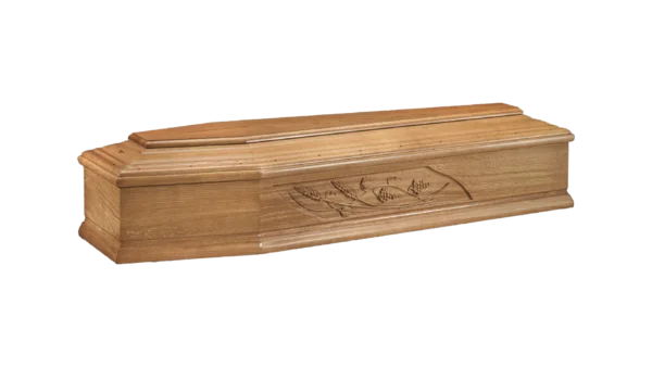 mod. 22 Spiga